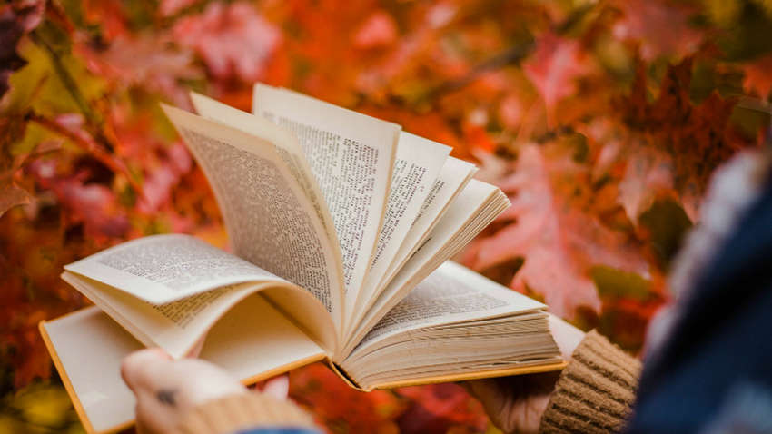 Подведены итоги осеннего книжного марафона "Осень с книгой"