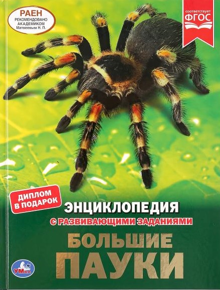 Большие пауки