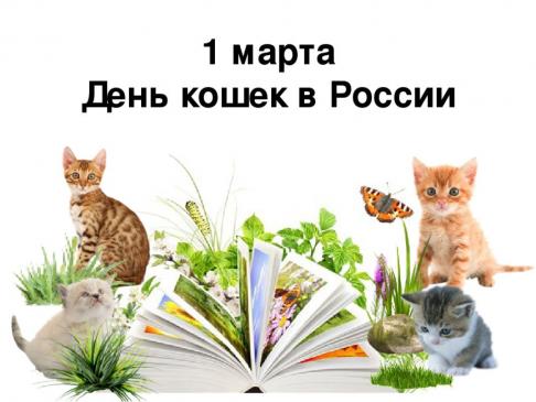 Виртуальная выставка «Гуляют кошки по страницам»