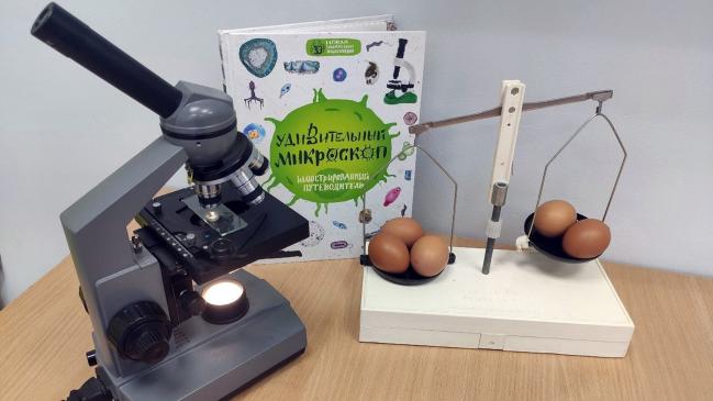 Онлайн-трансляция научно-познавательной программы «Яйцо и химия»